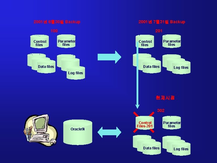 2001년 6월 30일 Backup 2001년 7월 31일 Backup 100 Control files 201 Parameter files