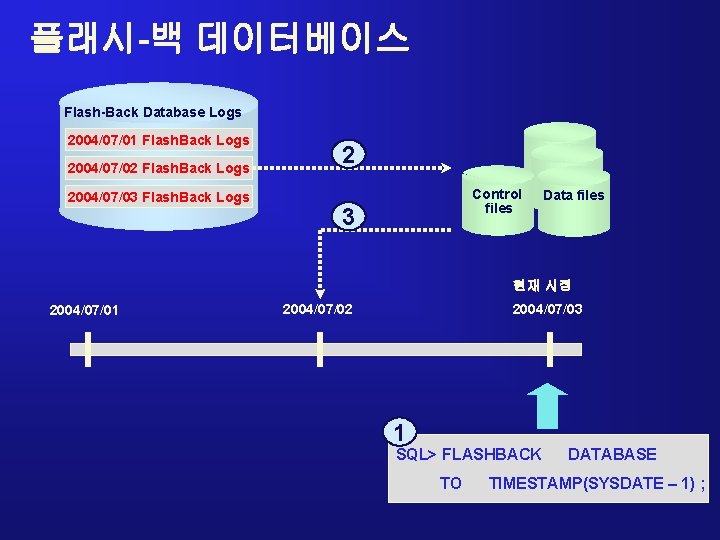 플래시-백 데이터베이스 Flash-Back Database Logs 2004/07/01 Flash. Back Logs 2004/07/02 Flash. Back Logs 2004/07/03