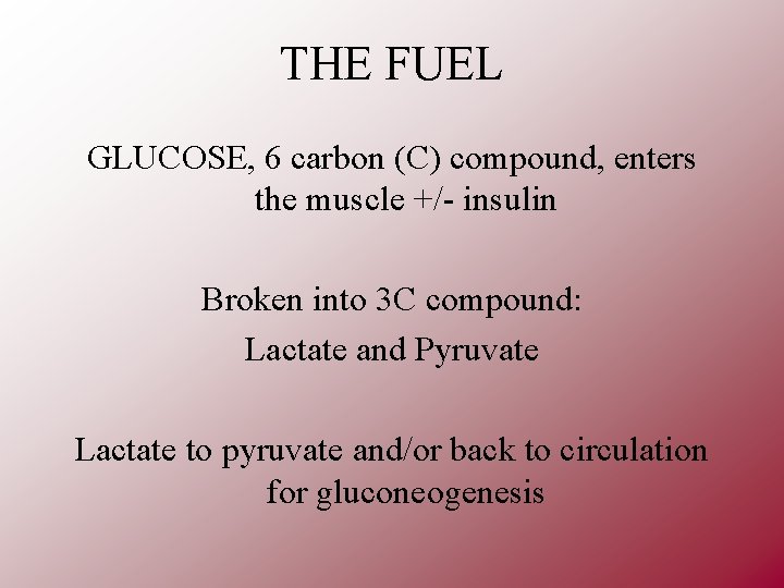 THE FUEL GLUCOSE, 6 carbon (C) compound, enters the muscle +/- insulin Broken into
