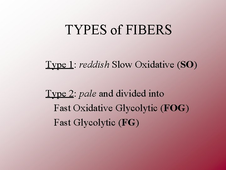 TYPES of FIBERS Type 1: reddish Slow Oxidative (SO) Type 2: pale and divided