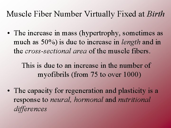 Muscle Fiber Number Virtually Fixed at Birth • The increase in mass (hypertrophy, sometimes