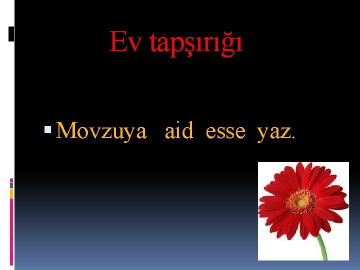 Ev tapşırığı Movzuya aid esse yaz. 