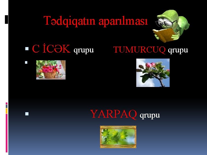 Tədqiqatın aparılması C İCƏK qrupu TUMURCUQ qrupu YARPAQ qrupu 