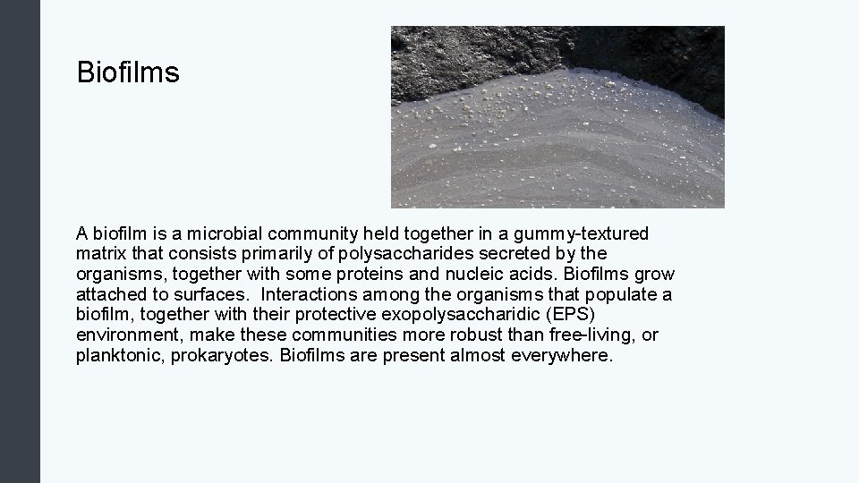 Biofilms A biofilm is a microbial community held together in a gummy-textured matrix that