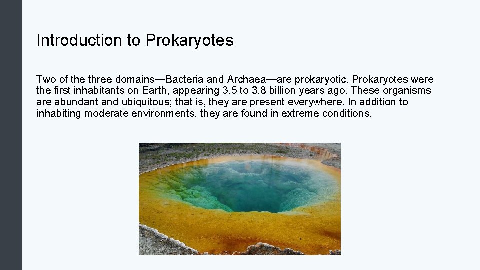 Introduction to Prokaryotes Two of the three domains—Bacteria and Archaea—are prokaryotic. Prokaryotes were the