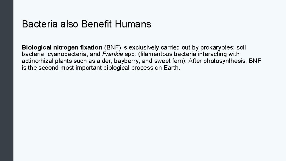 Bacteria also Benefit Humans Biological nitrogen fixation (BNF) is exclusively carried out by prokaryotes: