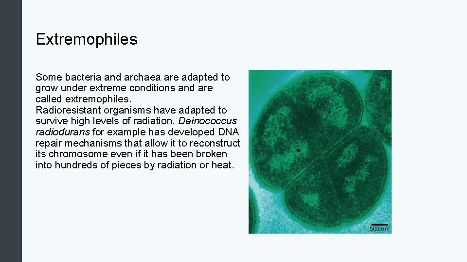 Extremophiles Some bacteria and archaea are adapted to grow under extreme conditions and are
