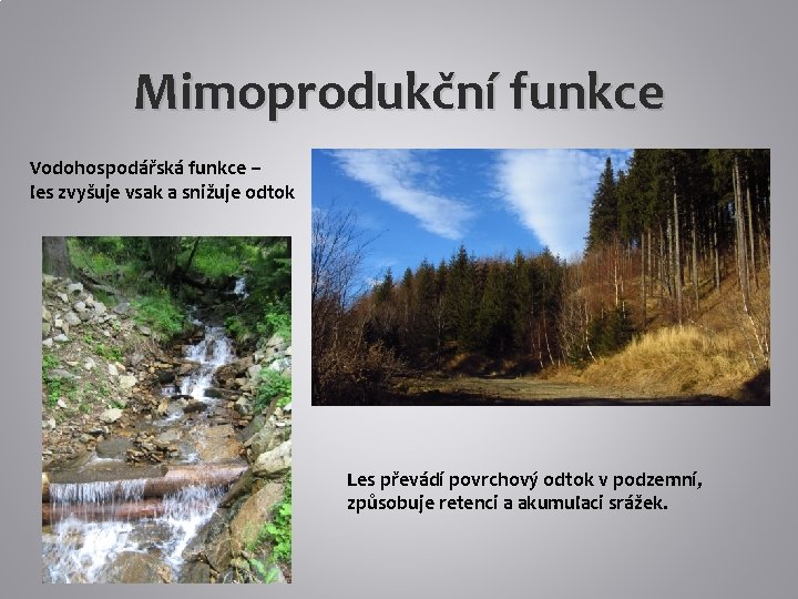 Mimoprodukční funkce Vodohospodářská funkce – les zvyšuje vsak a snižuje odtok Les převádí povrchový