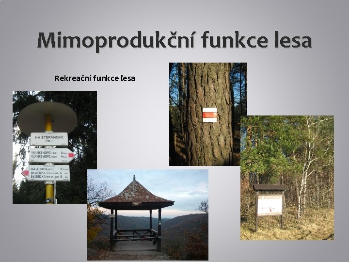 Mimoprodukční funkce lesa Rekreační funkce lesa 