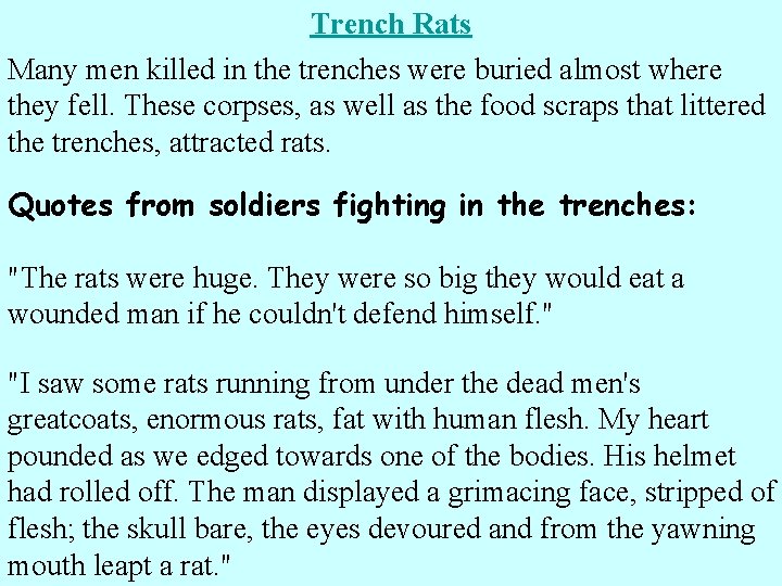 Trench Rats Many men killed in the trenches were buried almost where they fell.