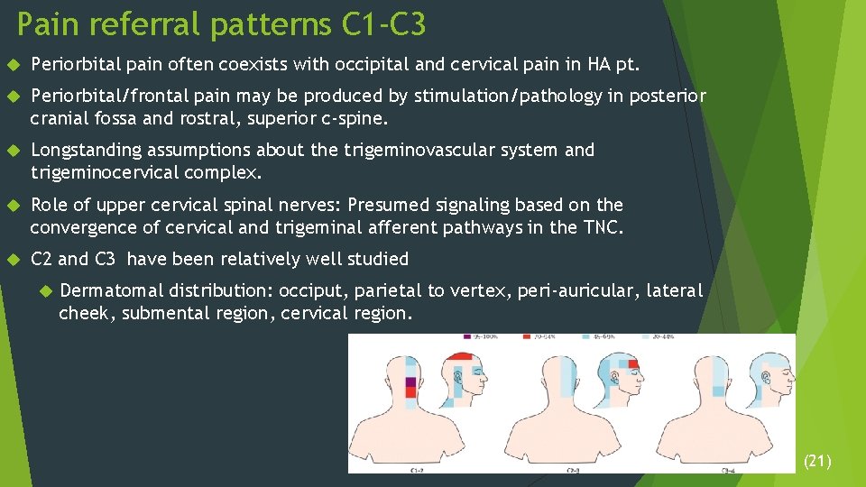 Pain referral patterns C 1 -C 3 Periorbital pain often coexists with occipital and