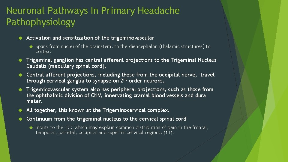 Neuronal Pathways In Primary Headache Pathophysiology Activation and sensitization of the trigeminovascular Spans from