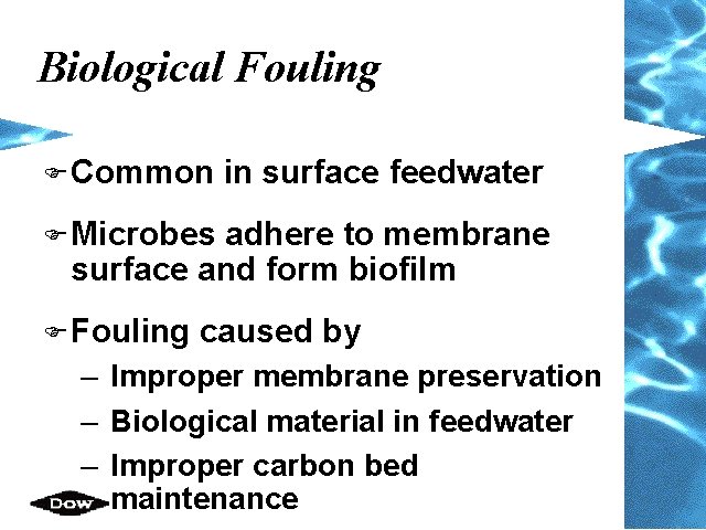 Biological Fouling F Common in surface feedwater F Microbes adhere to membrane surface and