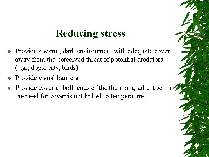 Reducing stress Provide a warm, dark environment with adequate cover, away from the perceived