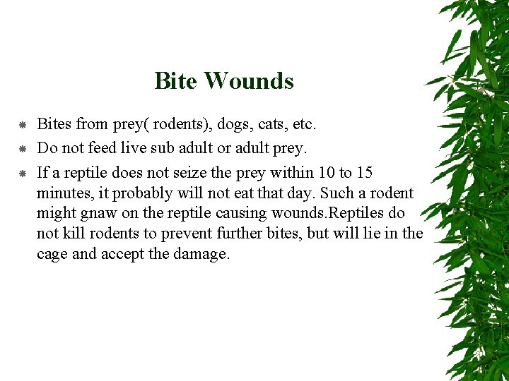 Bite Wounds Bites from prey( rodents), dogs, cats, etc. Do not feed live sub
