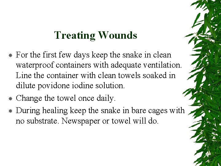 Treating Wounds For the first few days keep the snake in clean waterproof containers