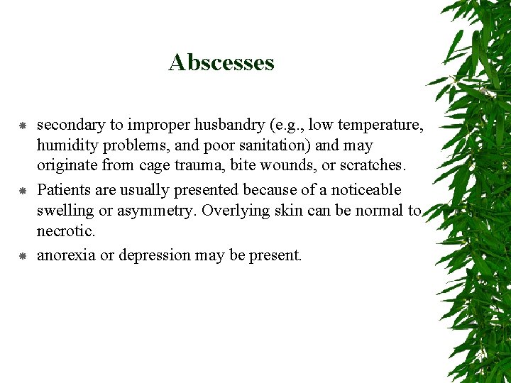 Abscesses secondary to improper husbandry (e. g. , low temperature, humidity problems, and poor