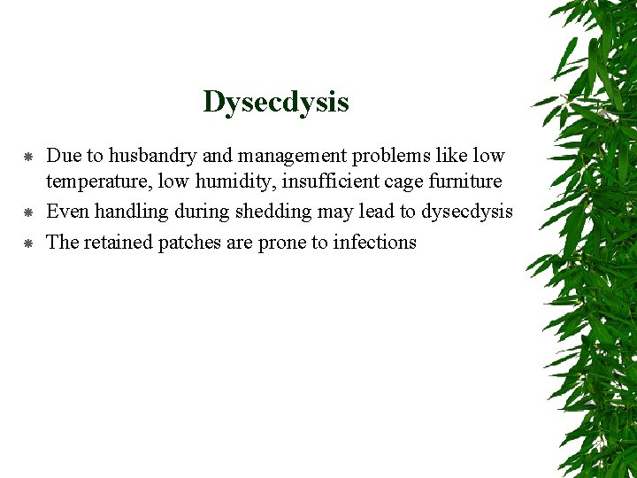 Dysecdysis Due to husbandry and management problems like low temperature, low humidity, insufficient cage