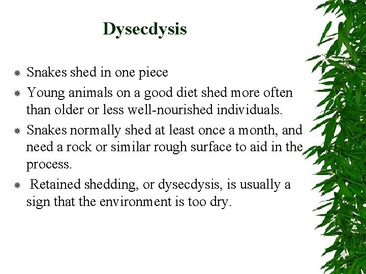 Dysecdysis Snakes shed in one piece Young animals on a good diet shed more