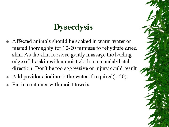Dysecdysis Affected animals should be soaked in warm water or misted thoroughly for 10
