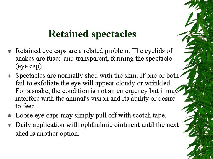 Retained spectacles Retained eye caps are a related problem. The eyelids of snakes are