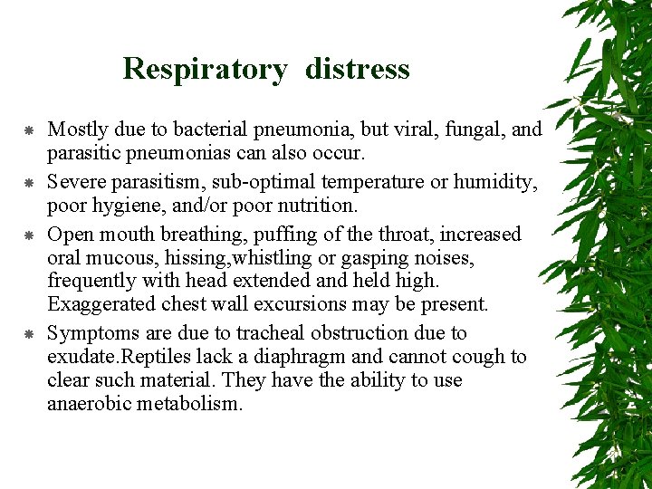 Respiratory distress Mostly due to bacterial pneumonia, but viral, fungal, and parasitic pneumonias can