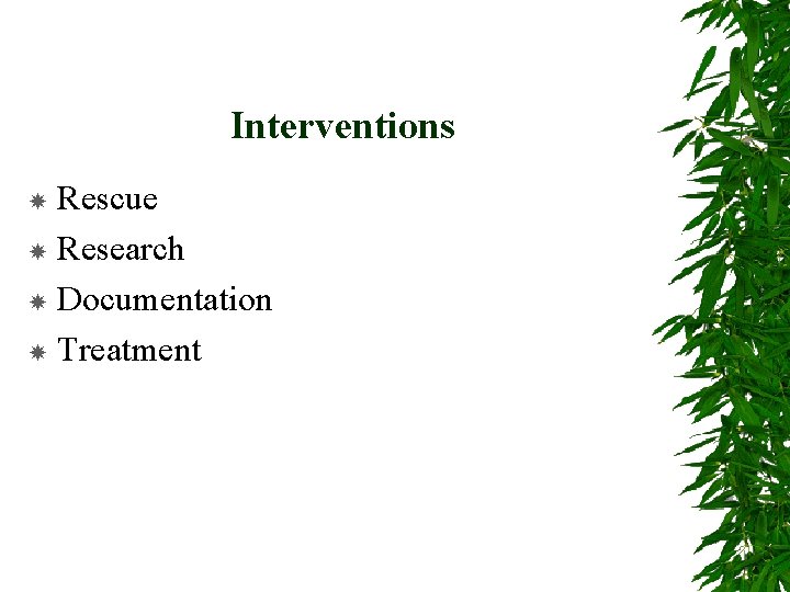 Interventions Rescue Research Documentation Treatment 
