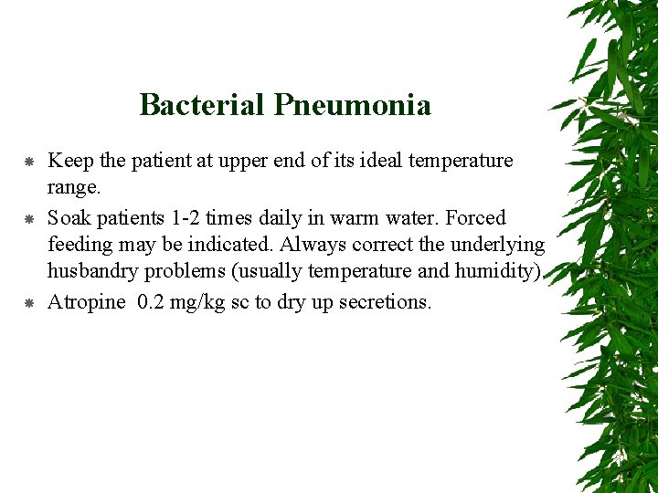 Bacterial Pneumonia Keep the patient at upper end of its ideal temperature range. Soak