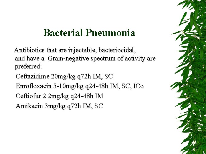 Bacterial Pneumonia Antibiotics that are injectable, bacteriocidal, and have a Gram-negative spectrum of activity
