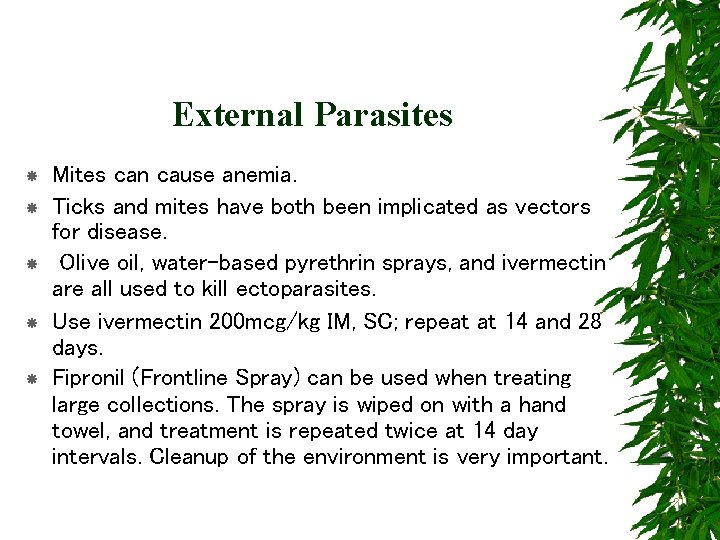 External Parasites Mites can cause anemia. Ticks and mites have both been implicated as