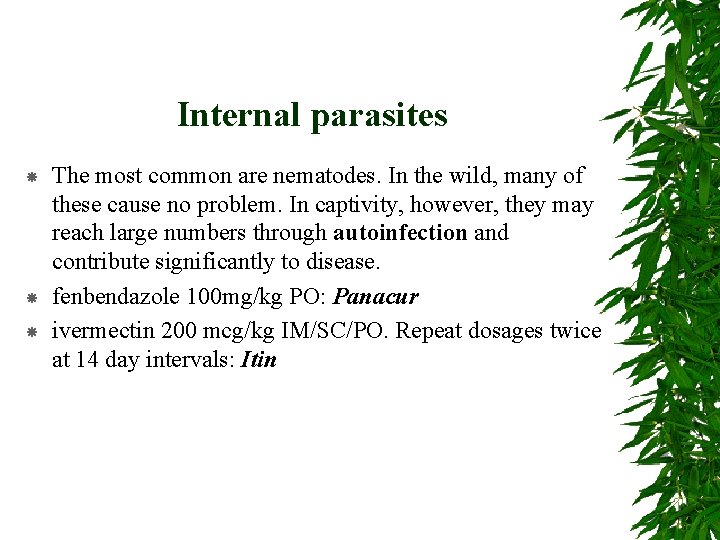 Internal parasites The most common are nematodes. In the wild, many of these cause