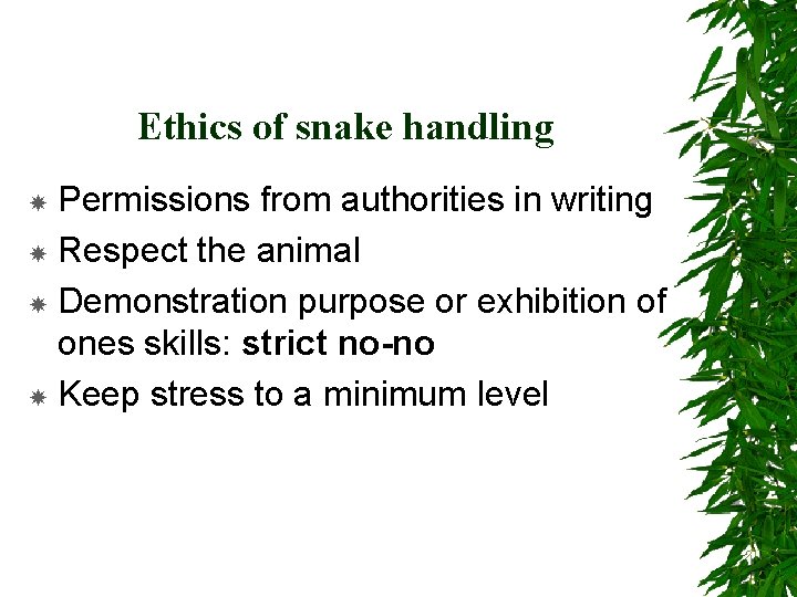 Ethics of snake handling Permissions from authorities in writing Respect the animal Demonstration purpose