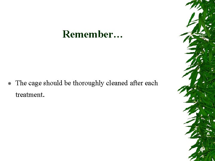 Remember… The cage should be thoroughly cleaned after each treatment. 