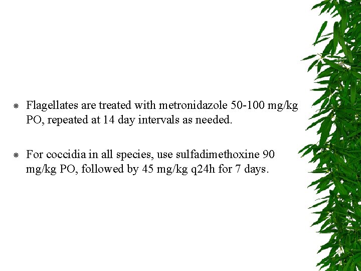  Flagellates are treated with metronidazole 50 -100 mg/kg PO, repeated at 14 day