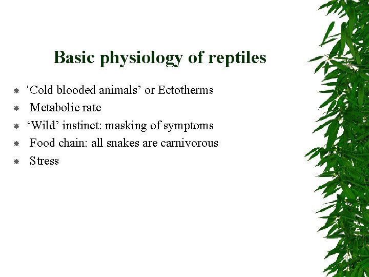 Basic physiology of reptiles ‘Cold blooded animals’ or Ectotherms Metabolic rate ‘Wild’ instinct: masking