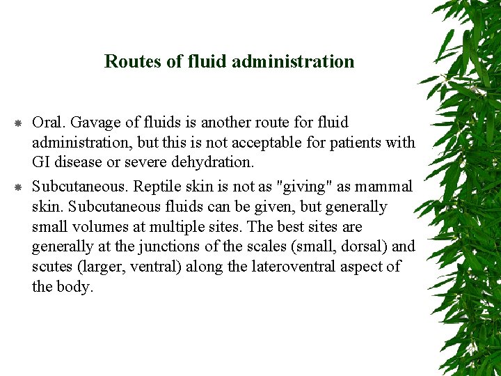 Routes of fluid administration Oral. Gavage of fluids is another route for fluid administration,
