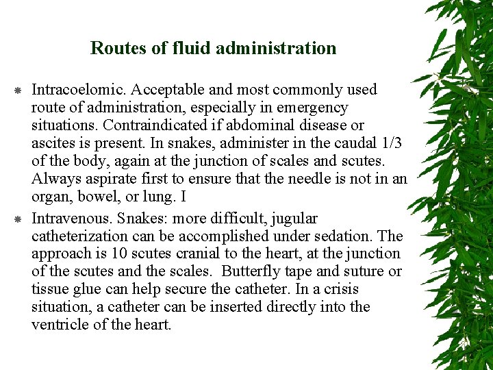 Routes of fluid administration Intracoelomic. Acceptable and most commonly used route of administration, especially