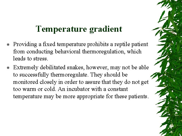 Temperature gradient Providing a fixed temperature prohibits a reptile patient from conducting behavioral thermoregulation,