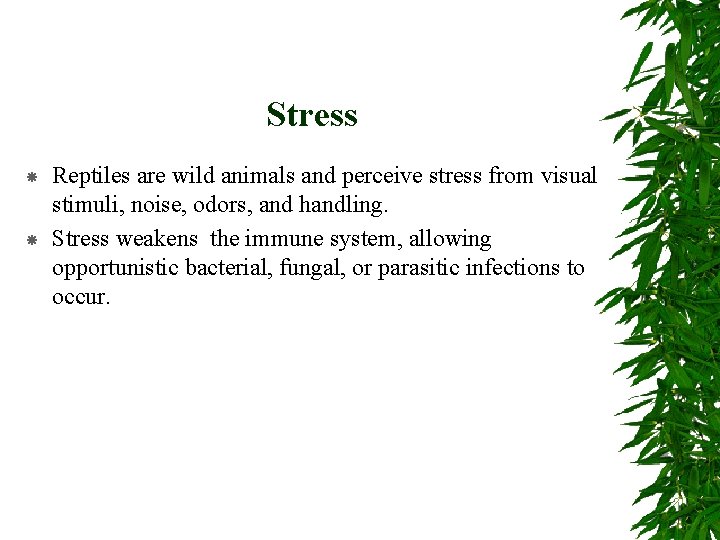 Stress Reptiles are wild animals and perceive stress from visual stimuli, noise, odors, and