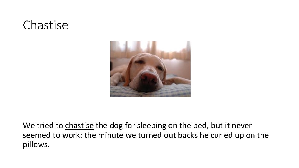 Chastise We tried to chastise the dog for sleeping on the bed, but it