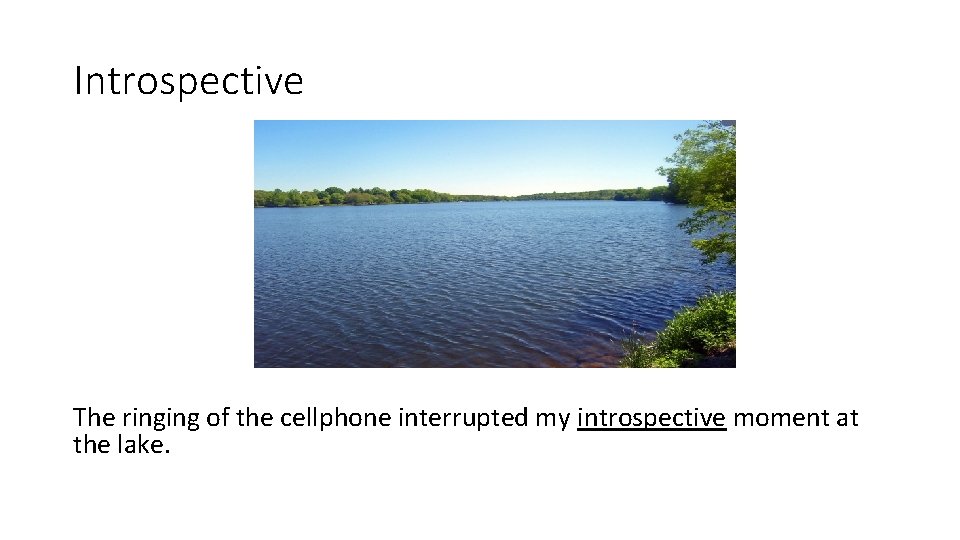 Introspective The ringing of the cellphone interrupted my introspective moment at the lake. 