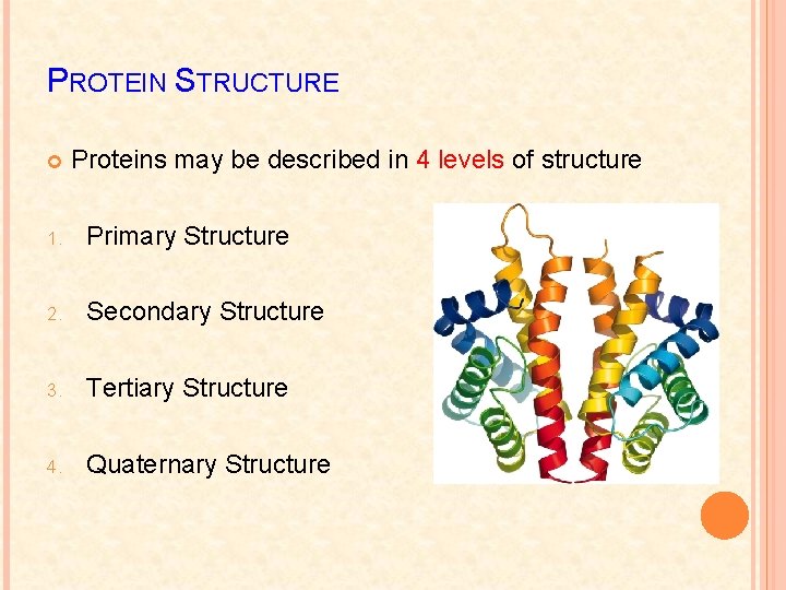 PROTEIN STRUCTURE Proteins may be described in 4 levels of structure 1. Primary Structure