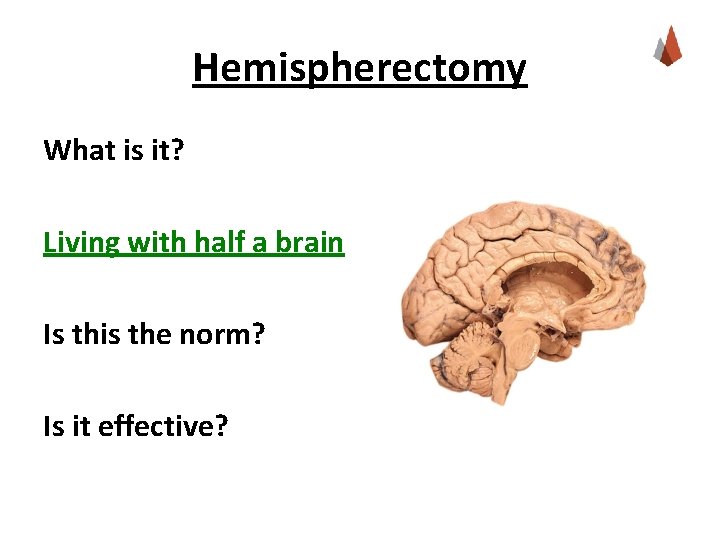 Hemispherectomy What is it? Living with half a brain Is this the norm? Is