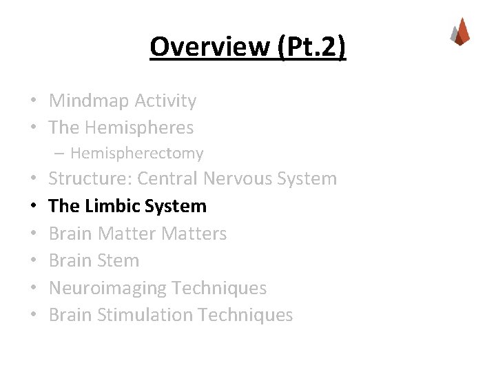 Overview (Pt. 2) • Mindmap Activity • The Hemispheres – Hemispherectomy • • •