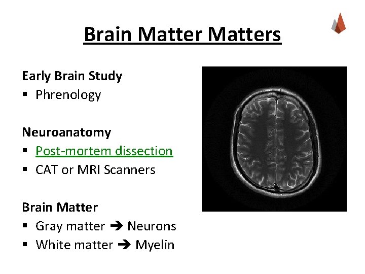 Brain Matters Early Brain Study § Phrenology Neuroanatomy § Post-mortem dissection § CAT or