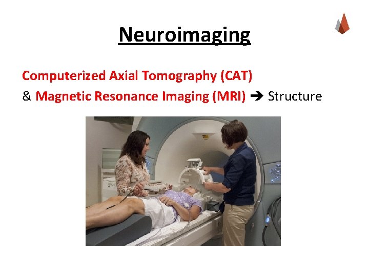 Neuroimaging Computerized Axial Tomography (CAT) & Magnetic Resonance Imaging (MRI) Structure 