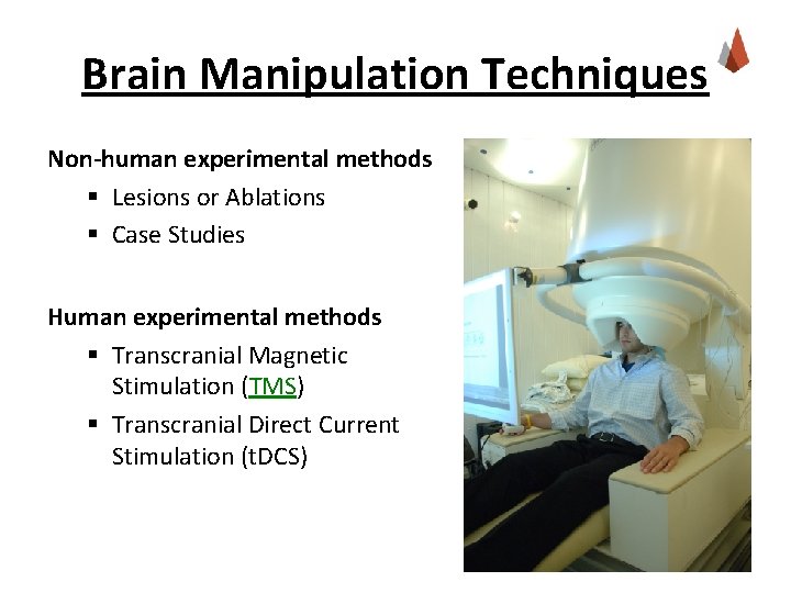 Brain Manipulation Techniques Non-human experimental methods § Lesions or Ablations § Case Studies Human
