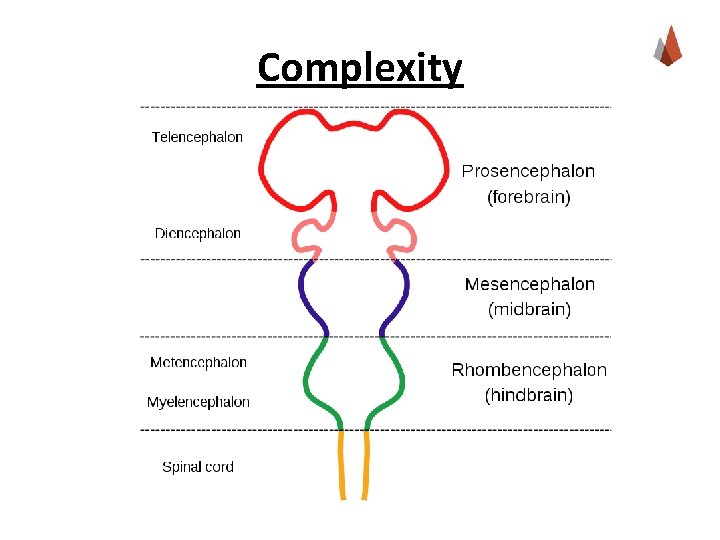 Complexity 