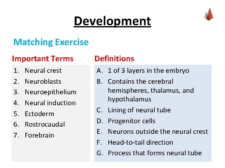 Development Matching Exercise Important Terms 1. 2. 3. 4. 5. 6. 7. Neural crest