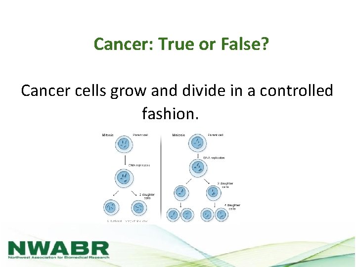 Cancer: True or False? Cancer cells grow and divide in a controlled fashion. 